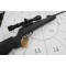 Gamo Hornet .22 With Scope